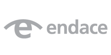 Alstor SDS szare logo Endace z elementem graficznym symbol litery e z owalnym daszkiem