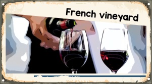 In the footsteps of the gendarme of Saint Tropez - ATTRACTION 10 tastes of French wine